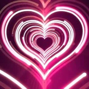 Meet your Posher, HappieNDandie